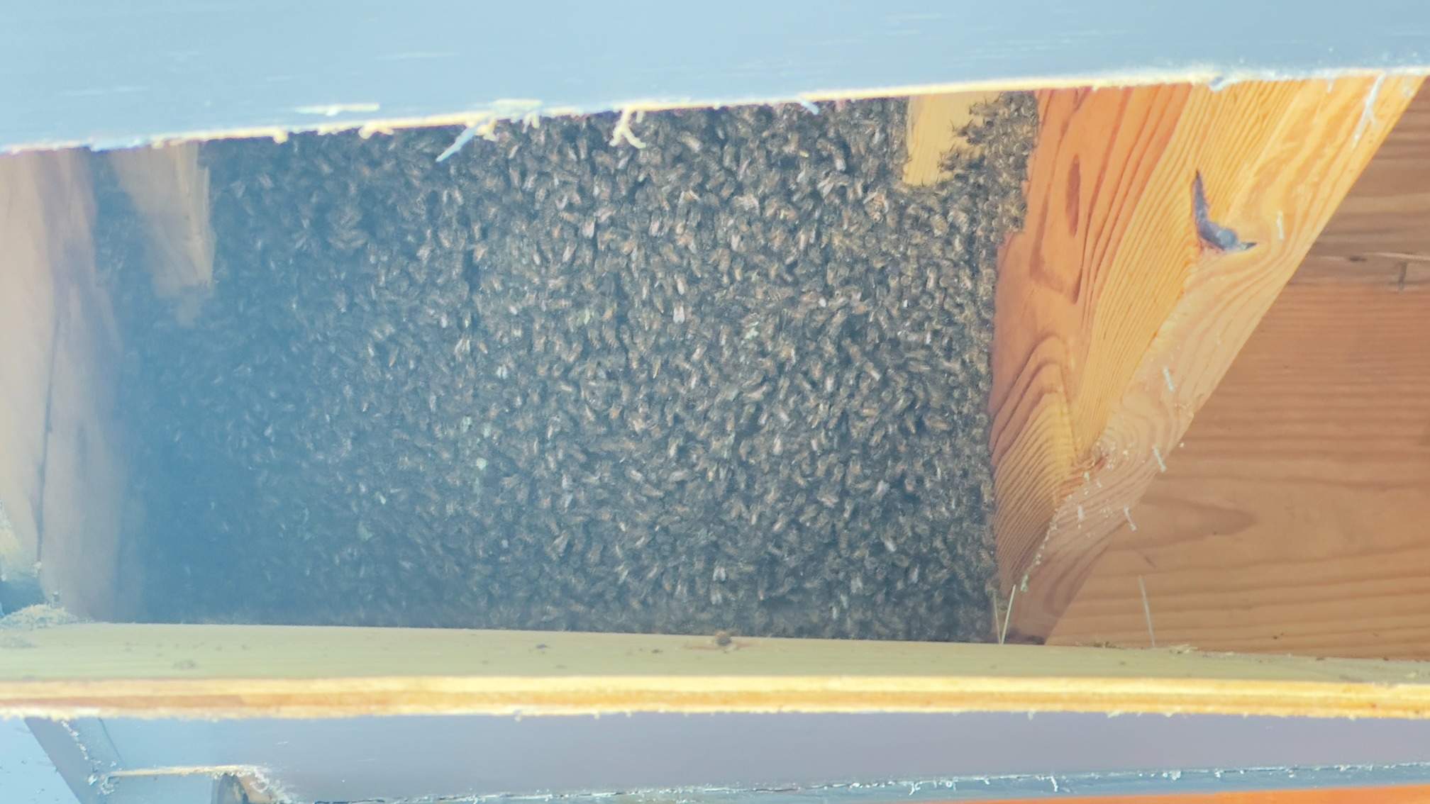 Carport by Rockwall Honey Bee Company