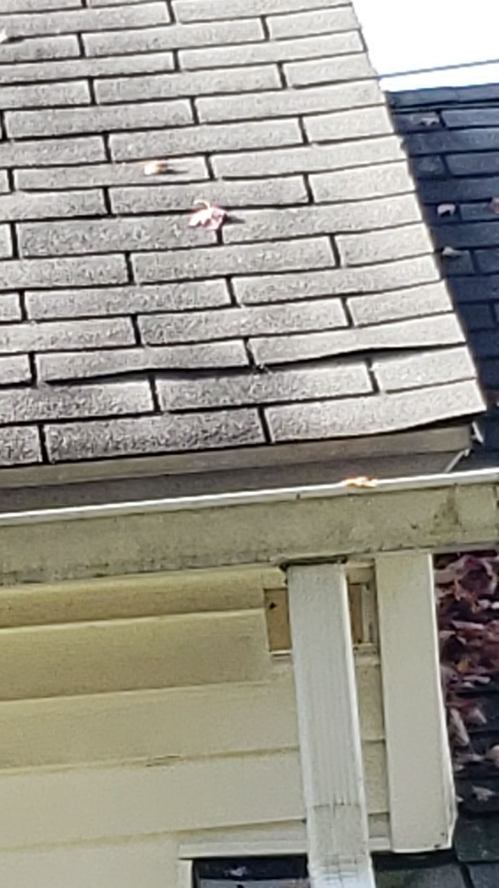 ATLAS PINNACLE SCOTCHGARD COLOR: PEWTER DRIP EDGE: BLACK by Eagle Eye Roofing