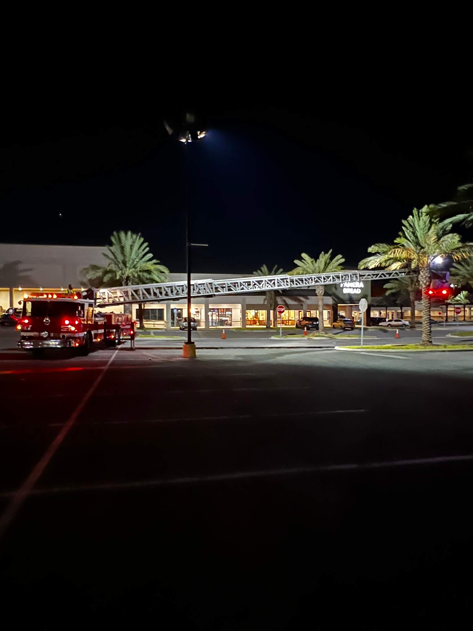 Tree Trimming | Roosevelt Square by ProGreen Services