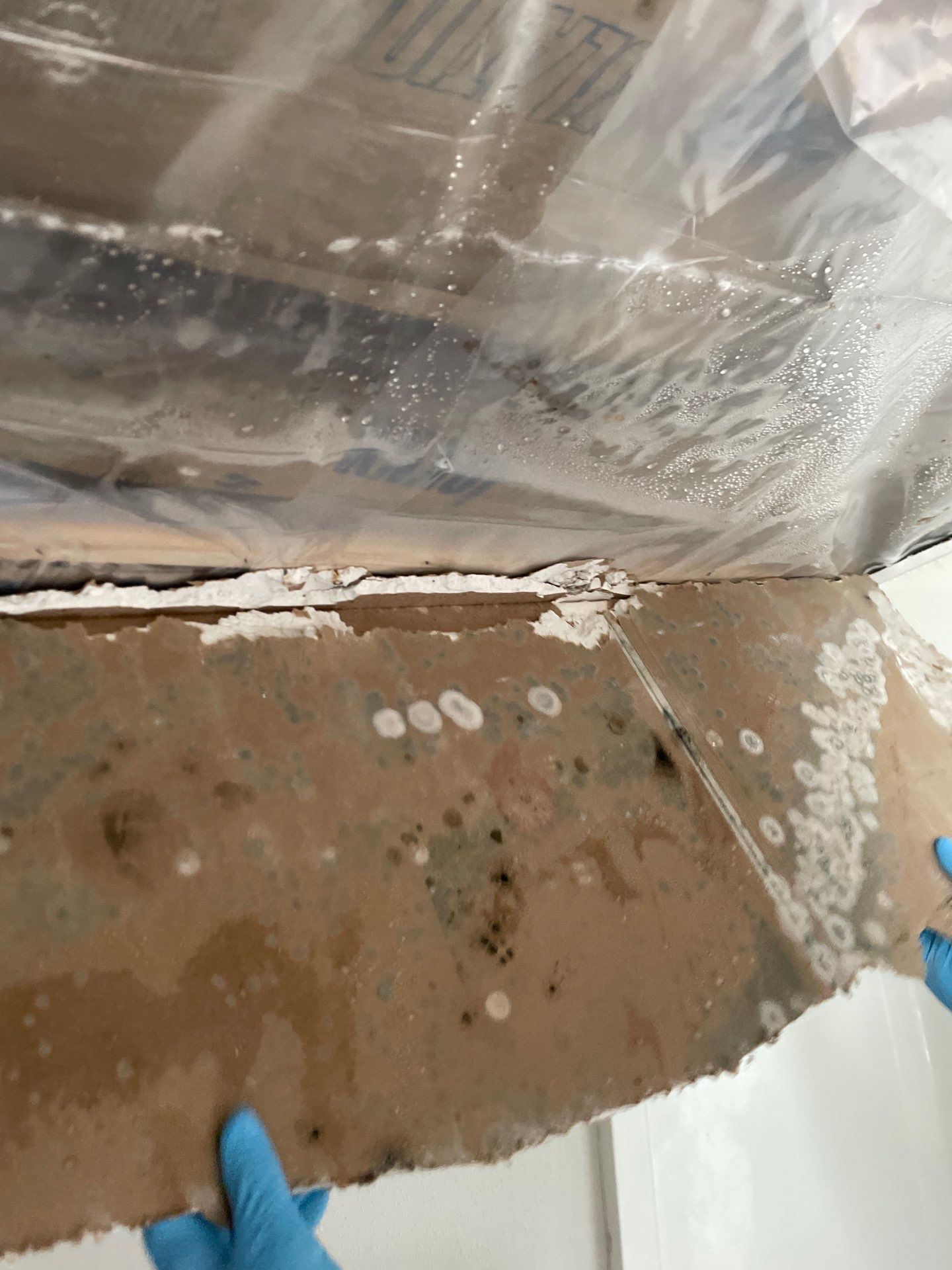 Water & Mold Remediation  by Dry Source Property Restoration 