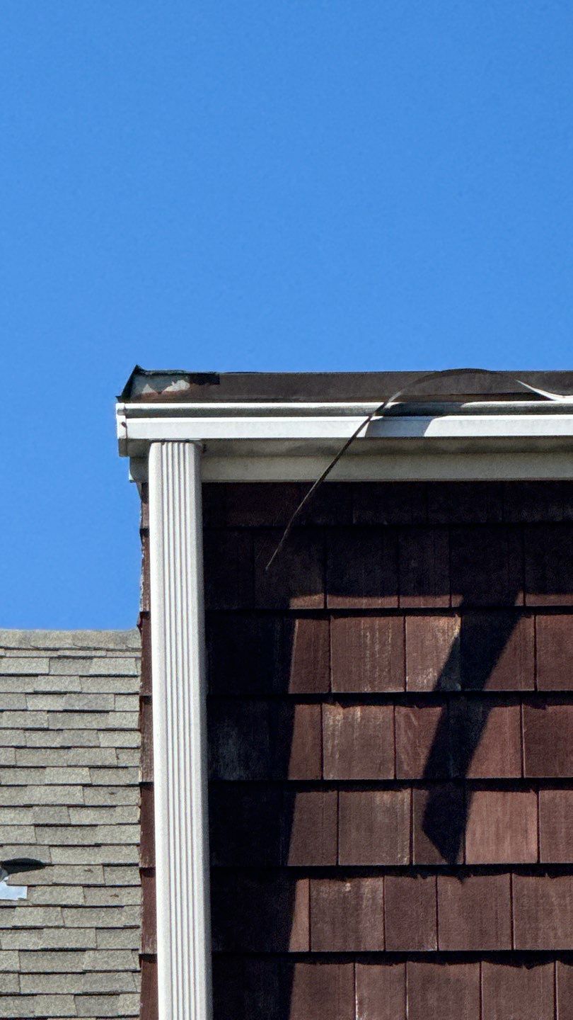 Alexandria: Mule Hide TPO Flat Roof by RM Banning, Inc.