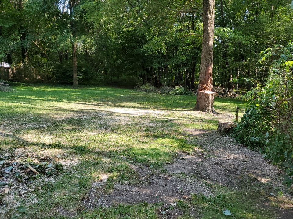 Storm Damaged Tree Removal  by Mike Jones & Sons Tree Service LLC 