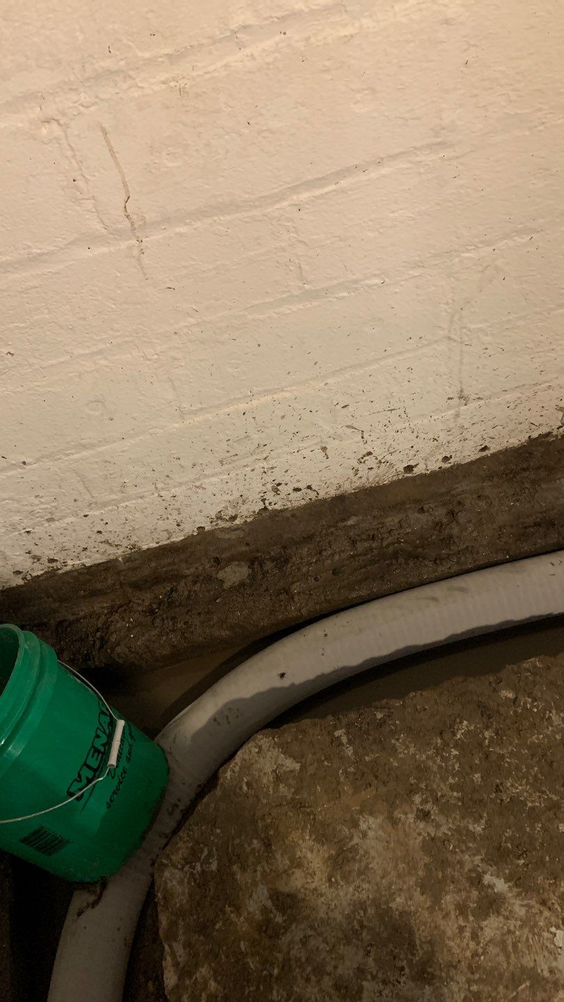 Earning Christine’s Trust in Her Forever Home by Waterproofing Northeast