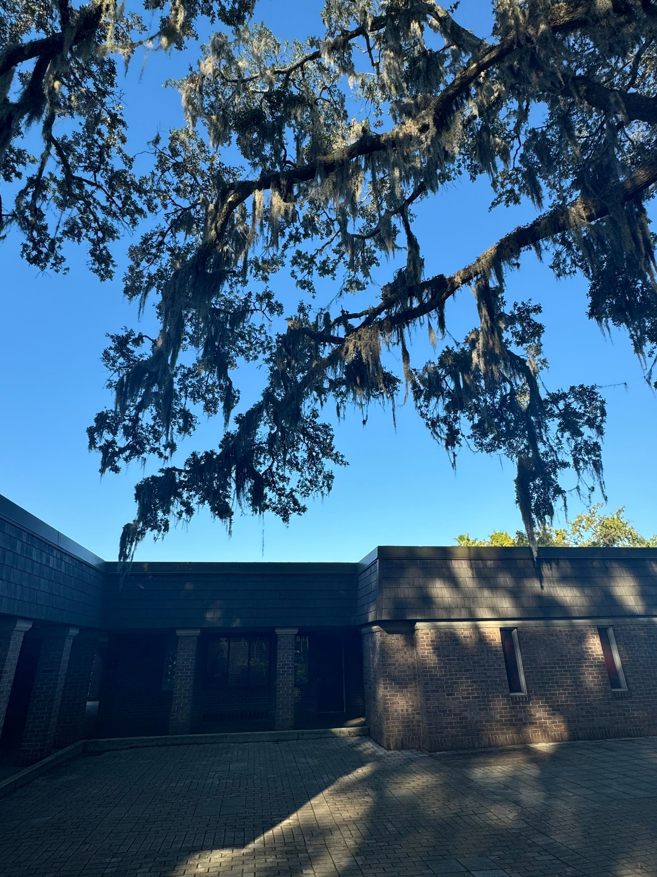 Volunteer Work | Episcopal High School of Jacksonville by ProGreen Services