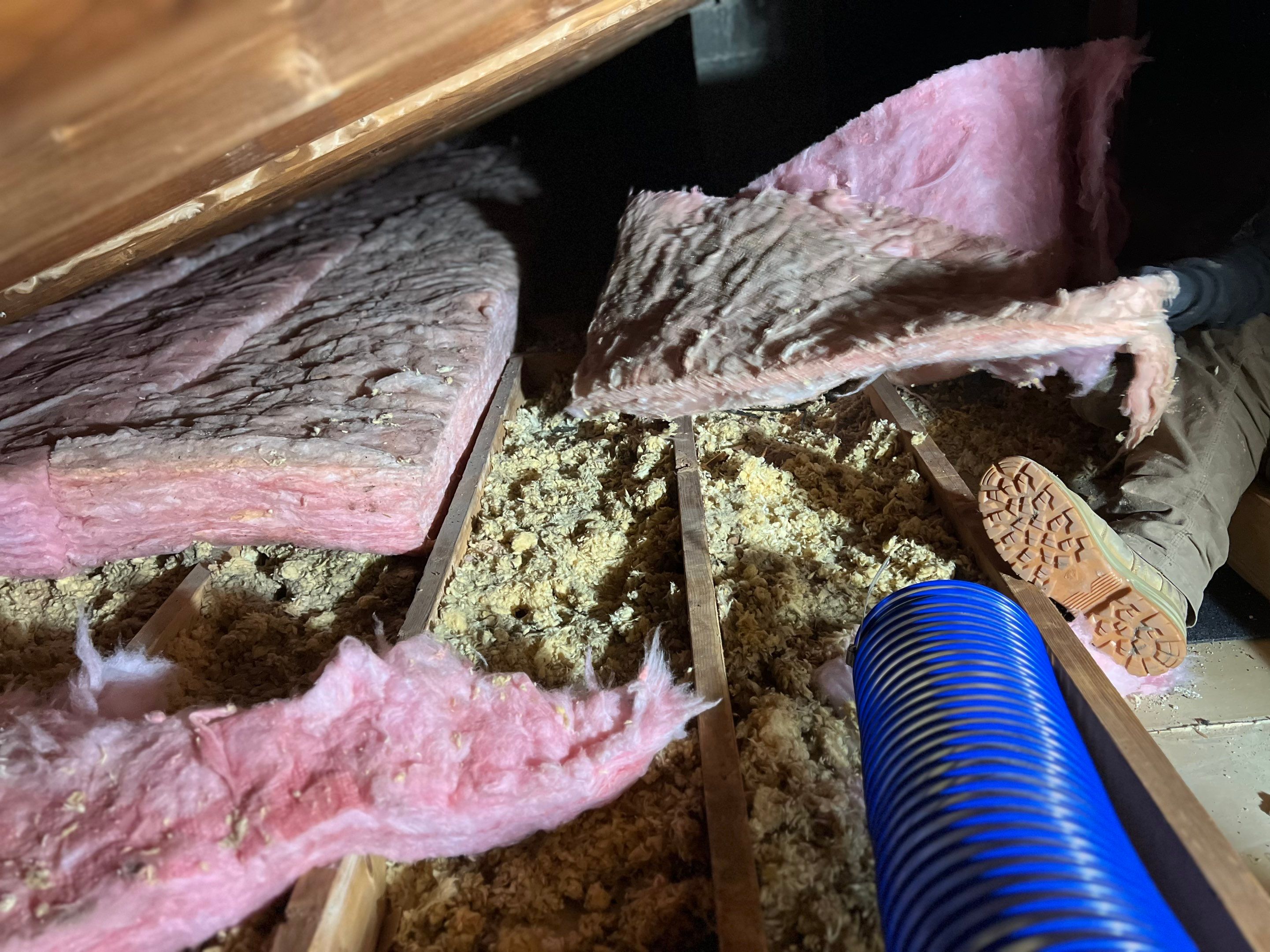 Fixing Attic Leaks and Restoring Insulation after Roof Work in Steubenville, OH by Home Environment Solutions