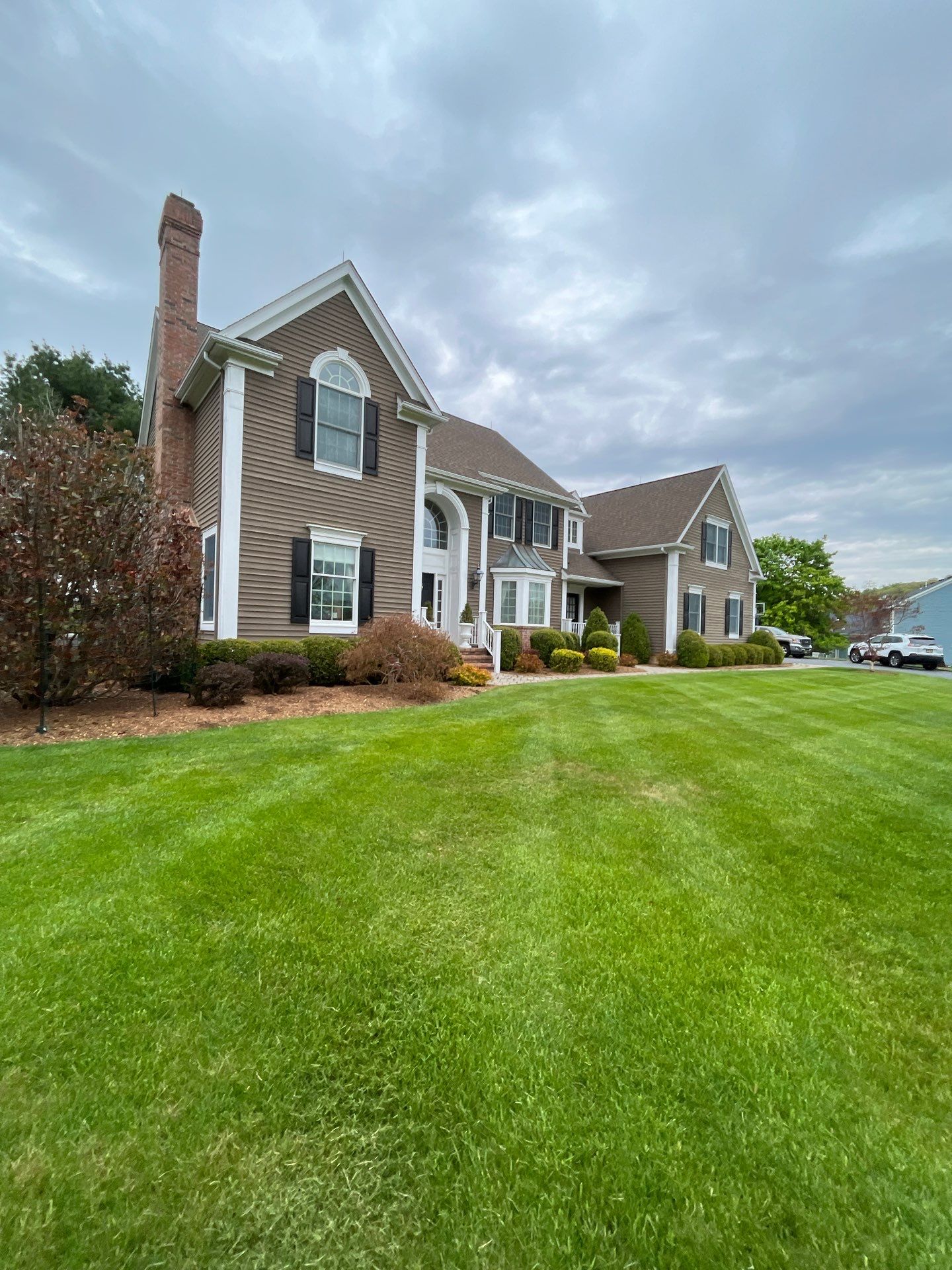 Comprehensive Ornamental Shrub Care in Peapack by Ants Plants