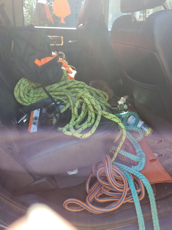 Tree Removal using Tree Removal by Mike Jones & Sons Tree Service LLC 