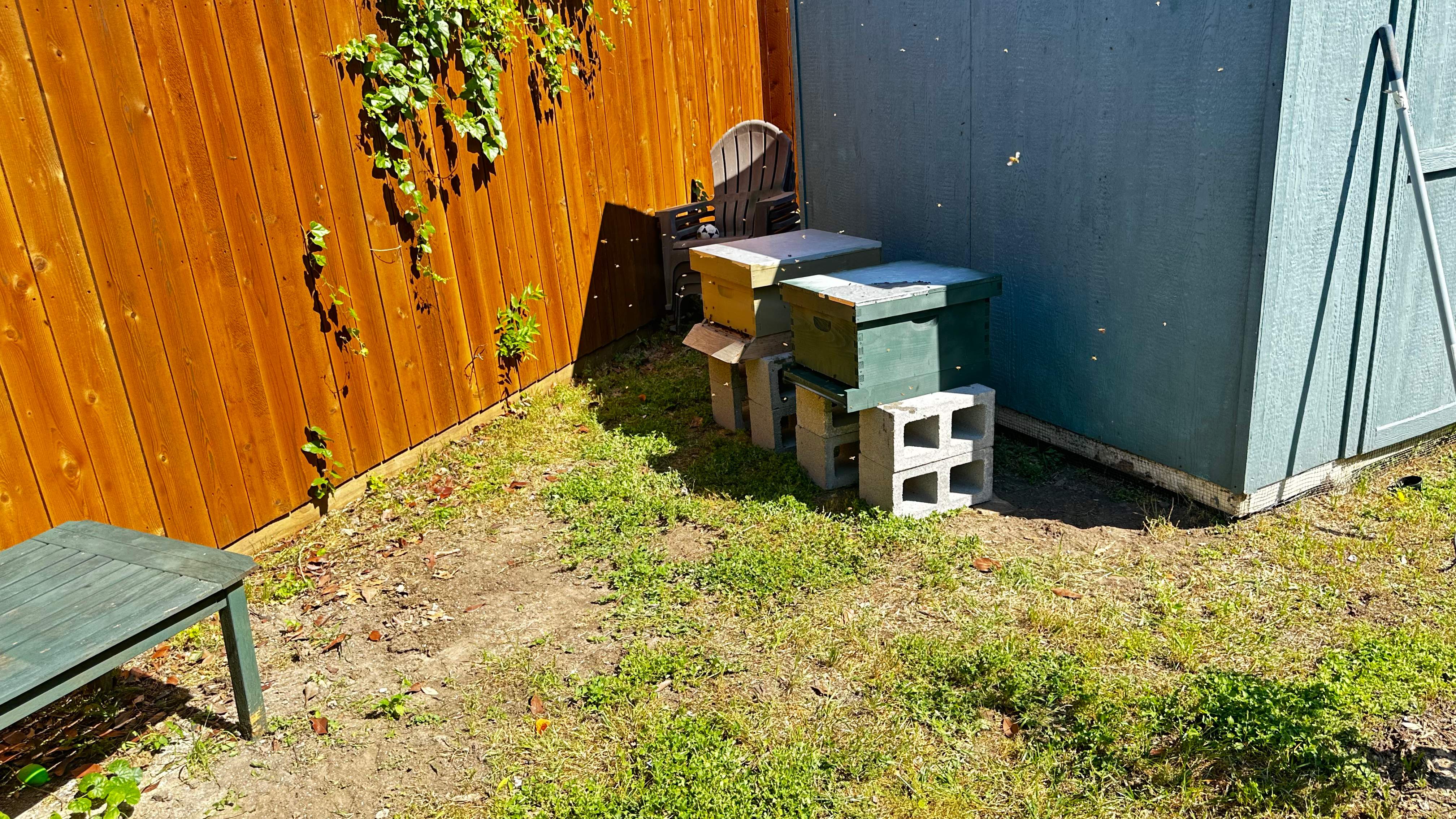 Project in Dallas by Rockwall Honey Bee Company