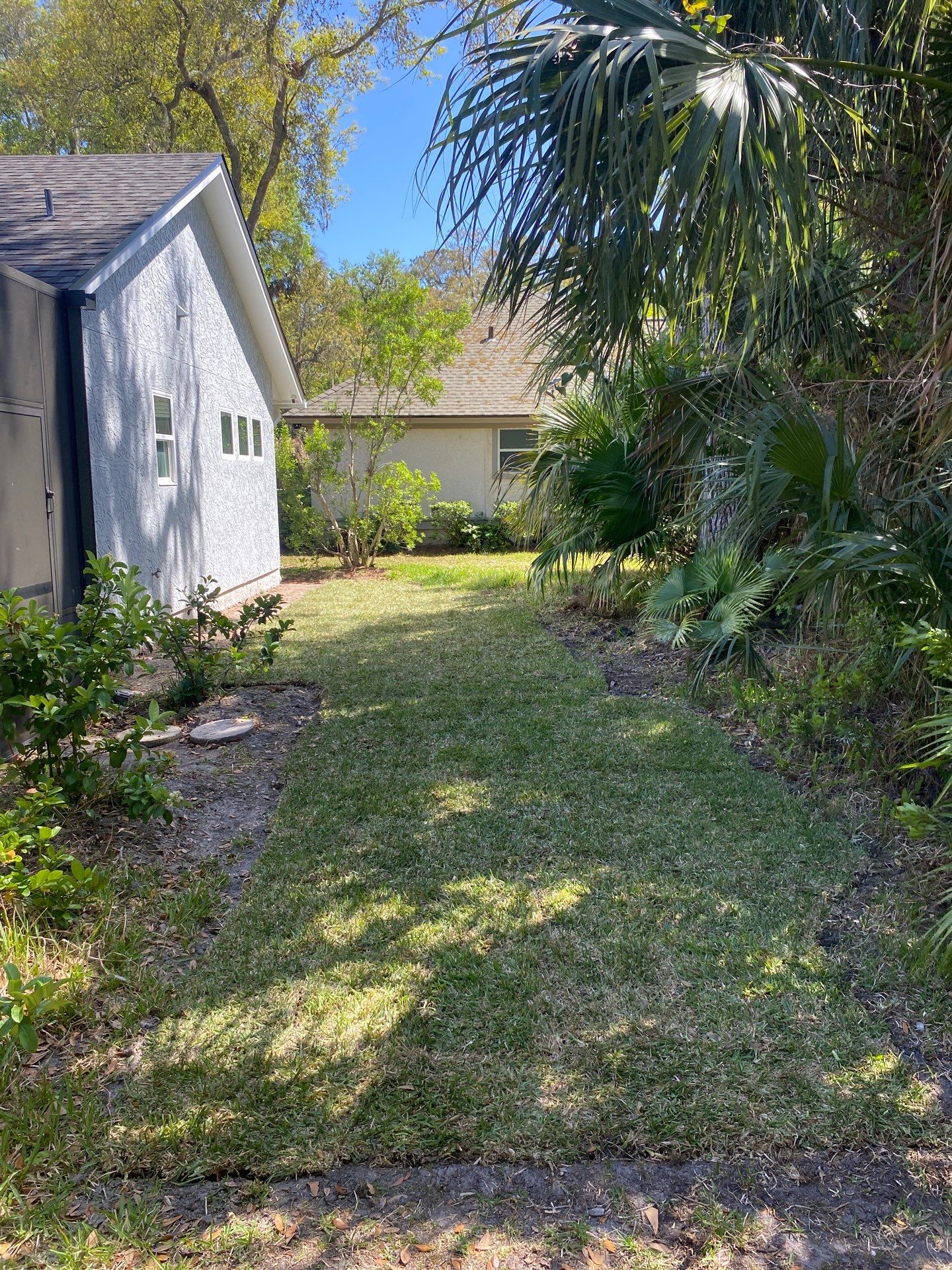 Residential | Sod Installation by ProGreen Services
