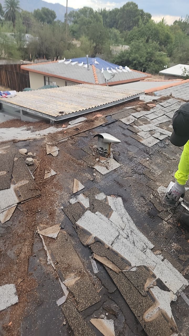 Silver Birch Shingles by Reimagine Roofing