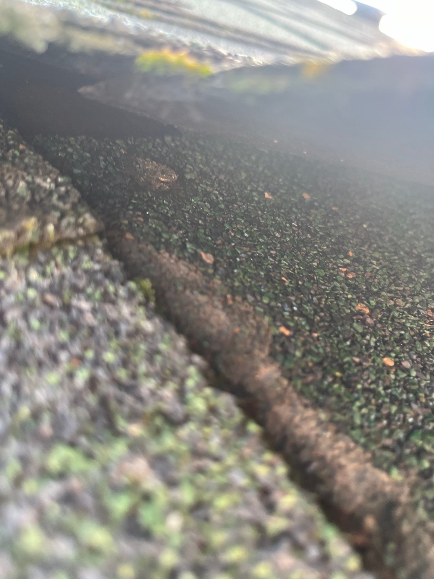 Project in Spokane by Connolly Construction Company