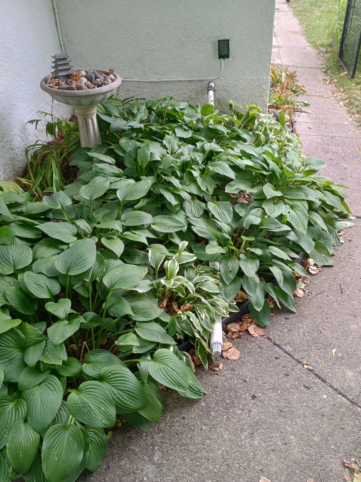 Another Drain Tile Project in the Books by Waterproofing Northeast