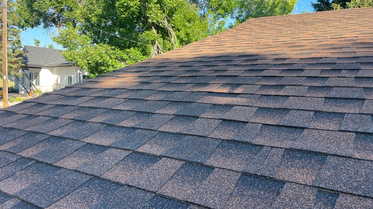 Multiple buildings and roofing systems! by Modern Roofing Group