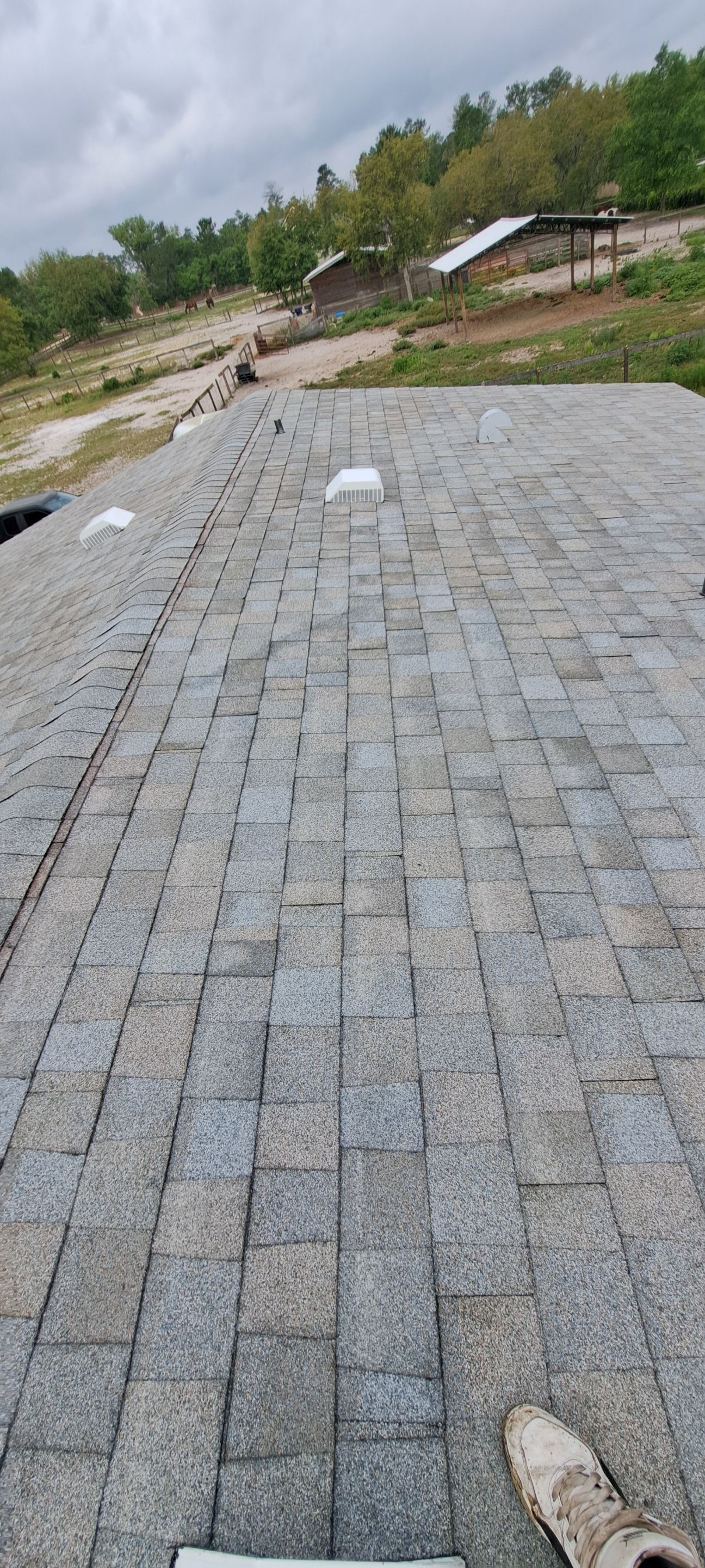 Shingle Reroof Replacement Deland FL by Pinnacle Roofing Group