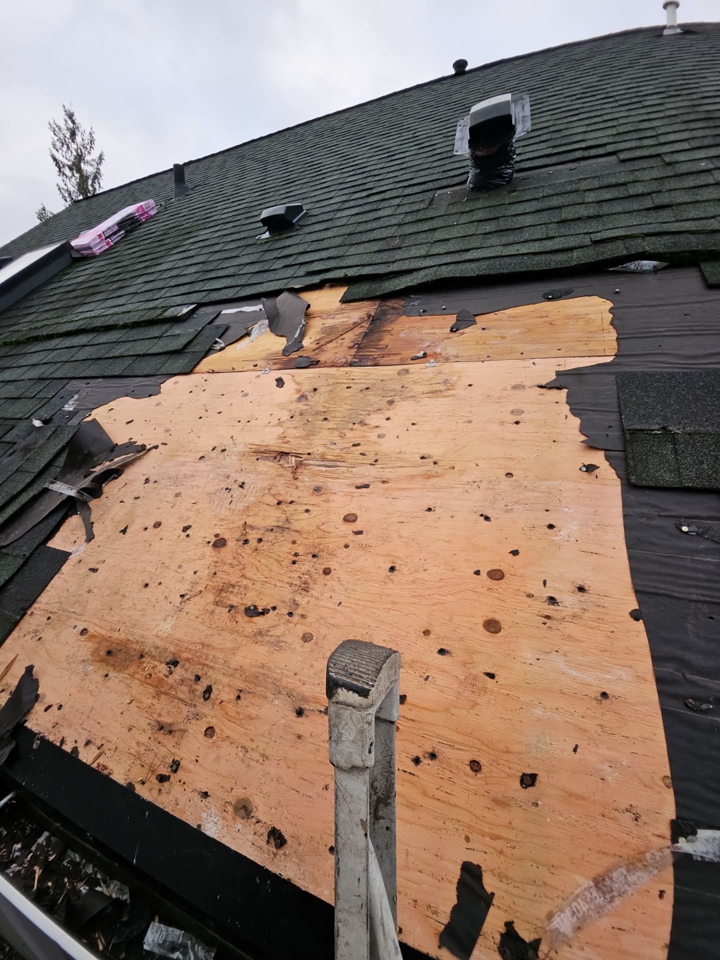 Project in Snohomish by Peaks and Valleys Construction