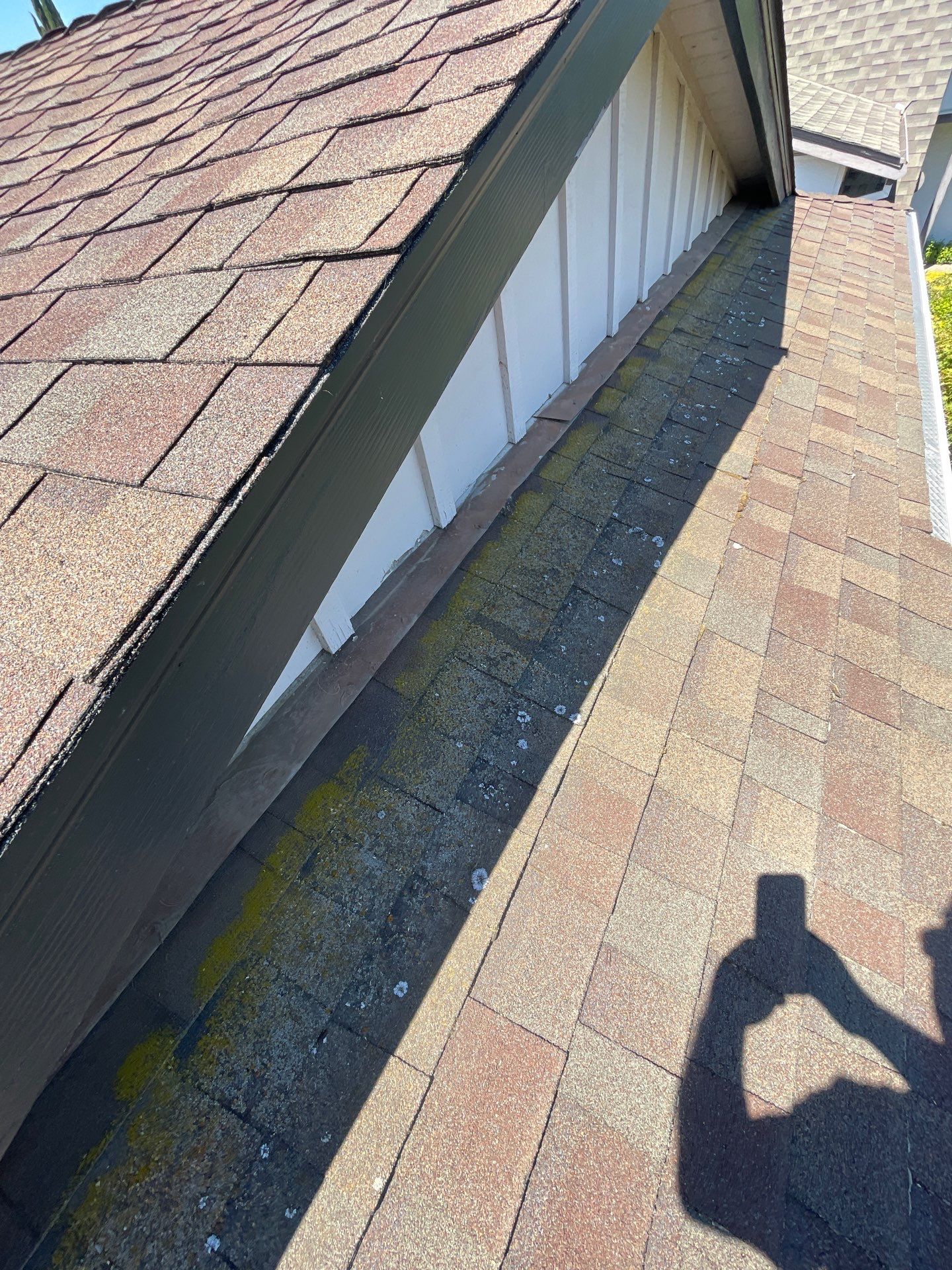 Roof Rejuvenation using Roof Maxx Treatment by Roof Maxx of Folsom