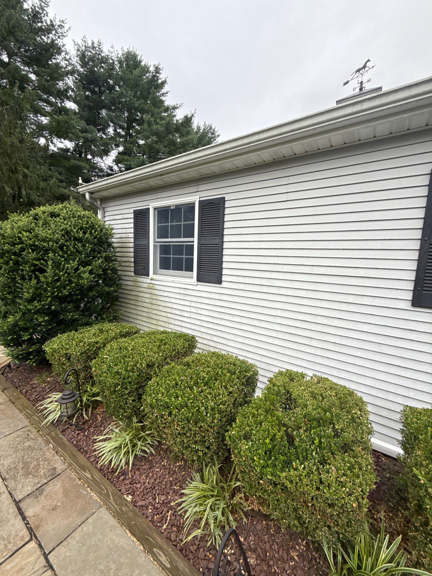 Soft Washing in Fair Haven, NJ by Clearview Washing