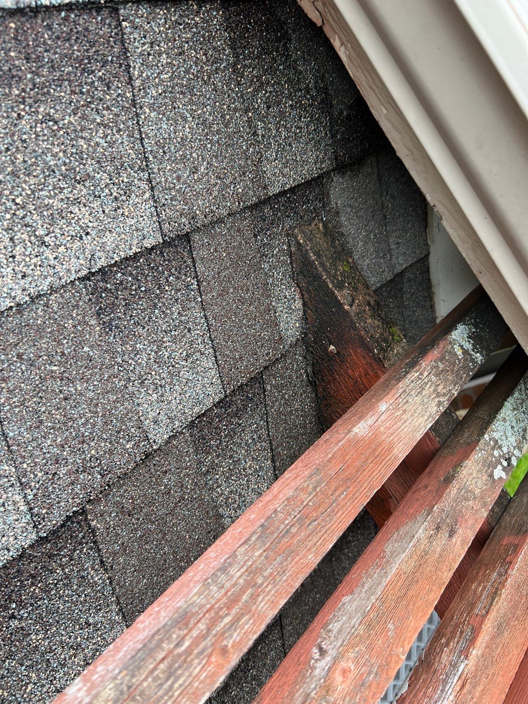 Hercules Patio Poly Cover by Tex-Line Roofing