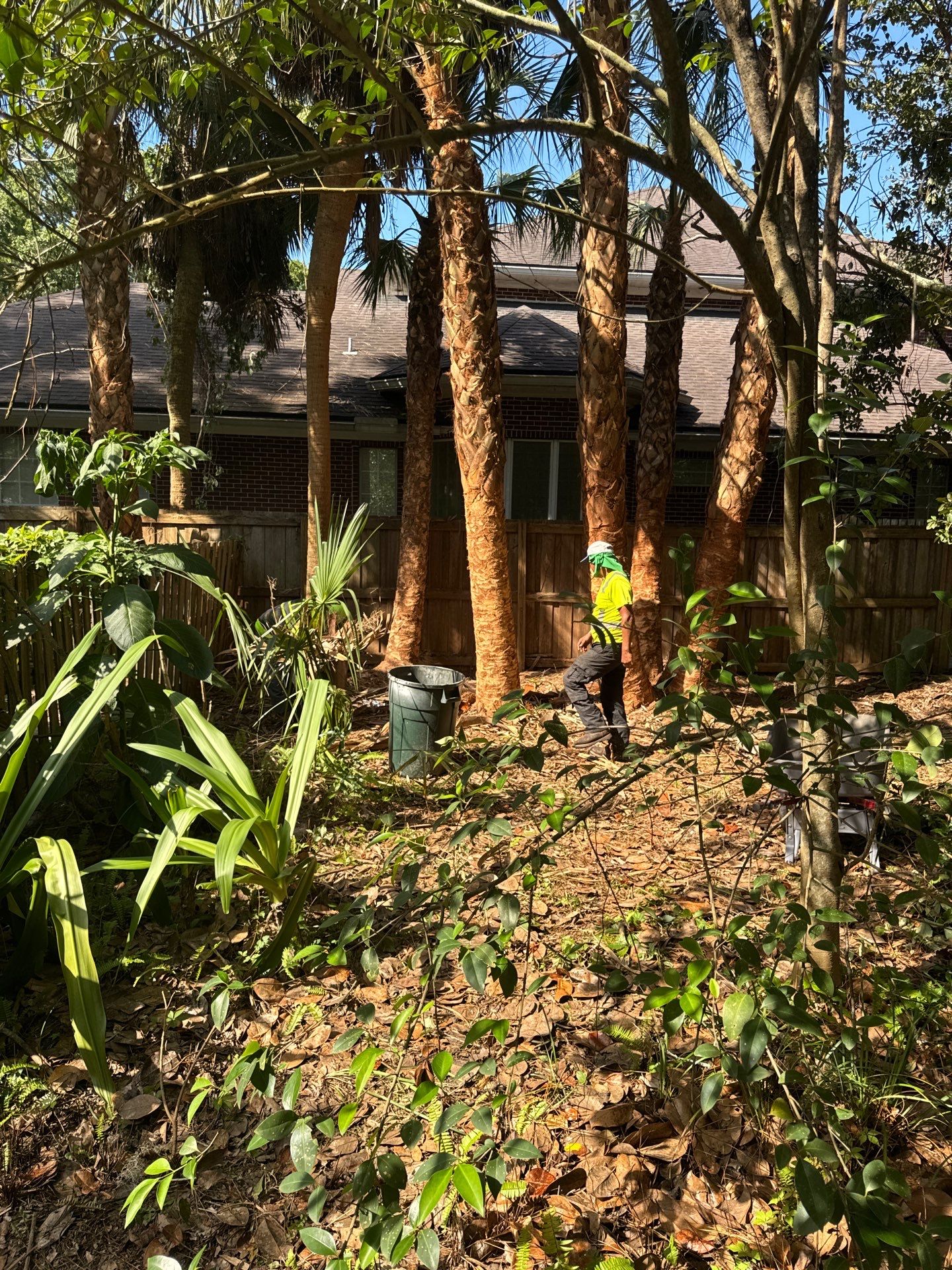 Deerwood Resident | Palm Tree Trimming & Booting by ProGreen Services