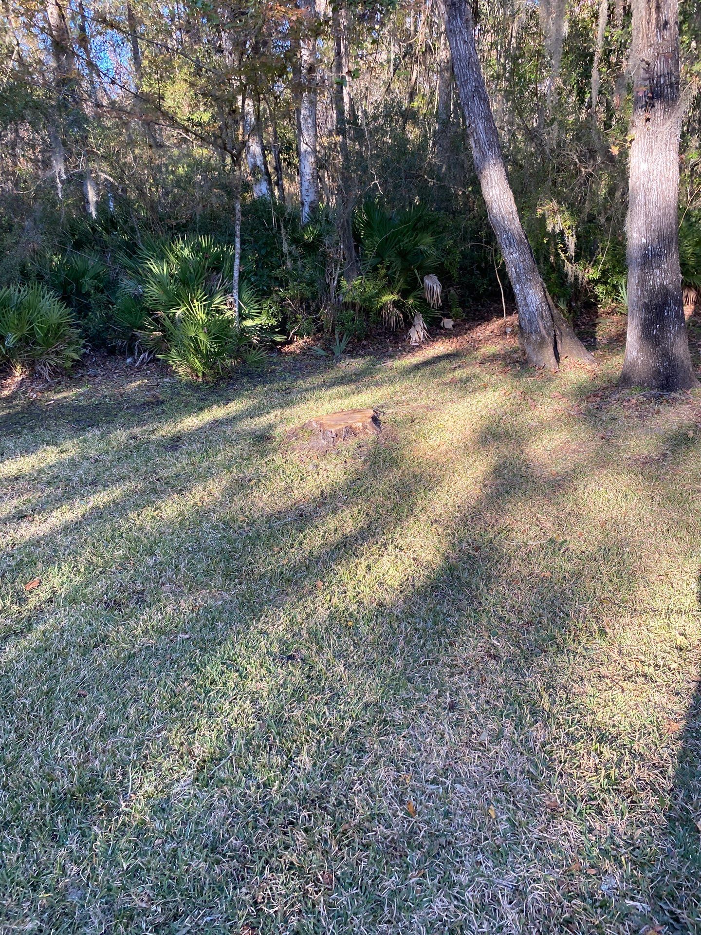 Residential | Tree Service by ProGreen Services