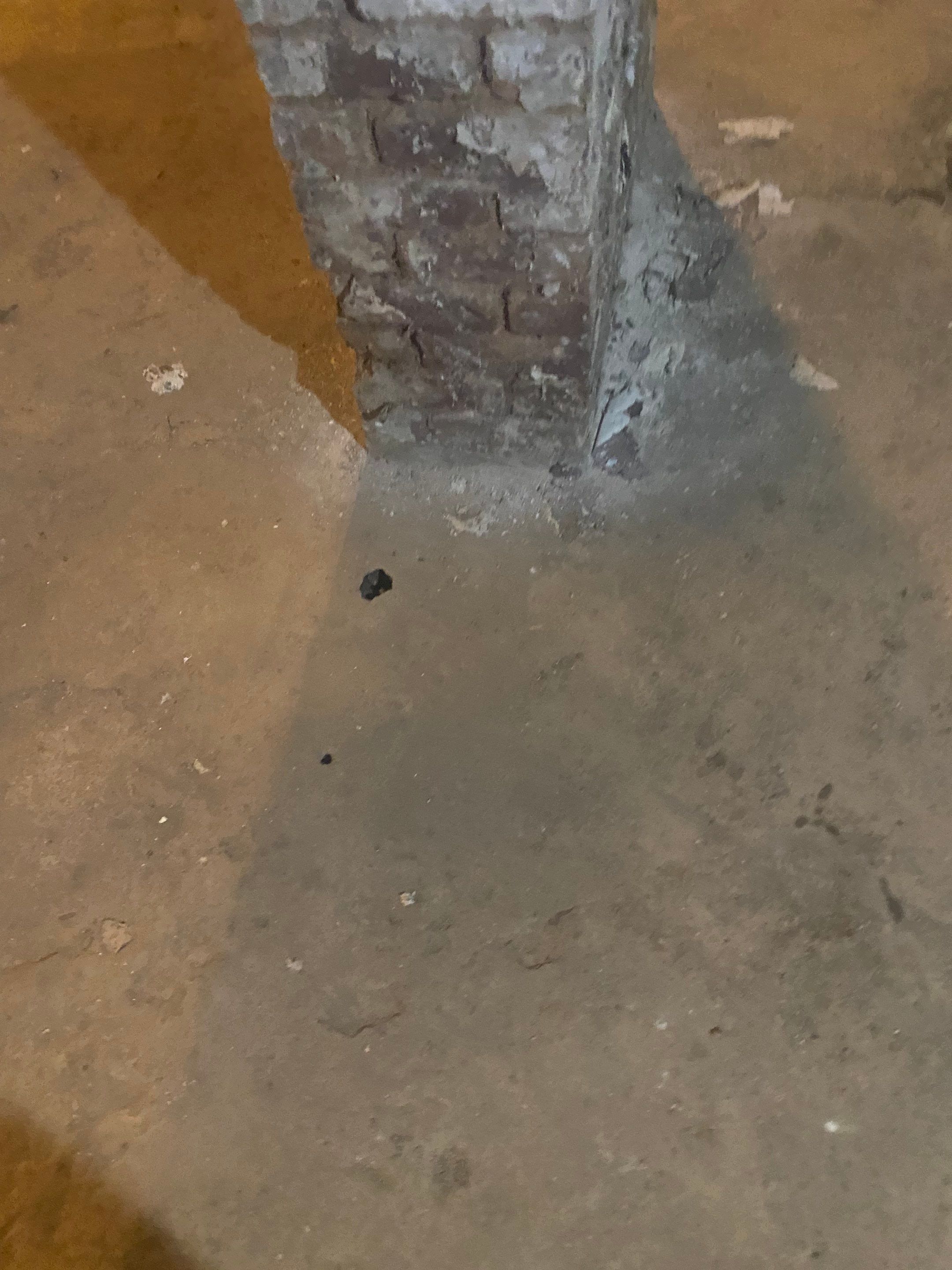 Interior French Drain & Wall Vapor Barrier in Newark, NJ  by Pure Service Pro, LLC 