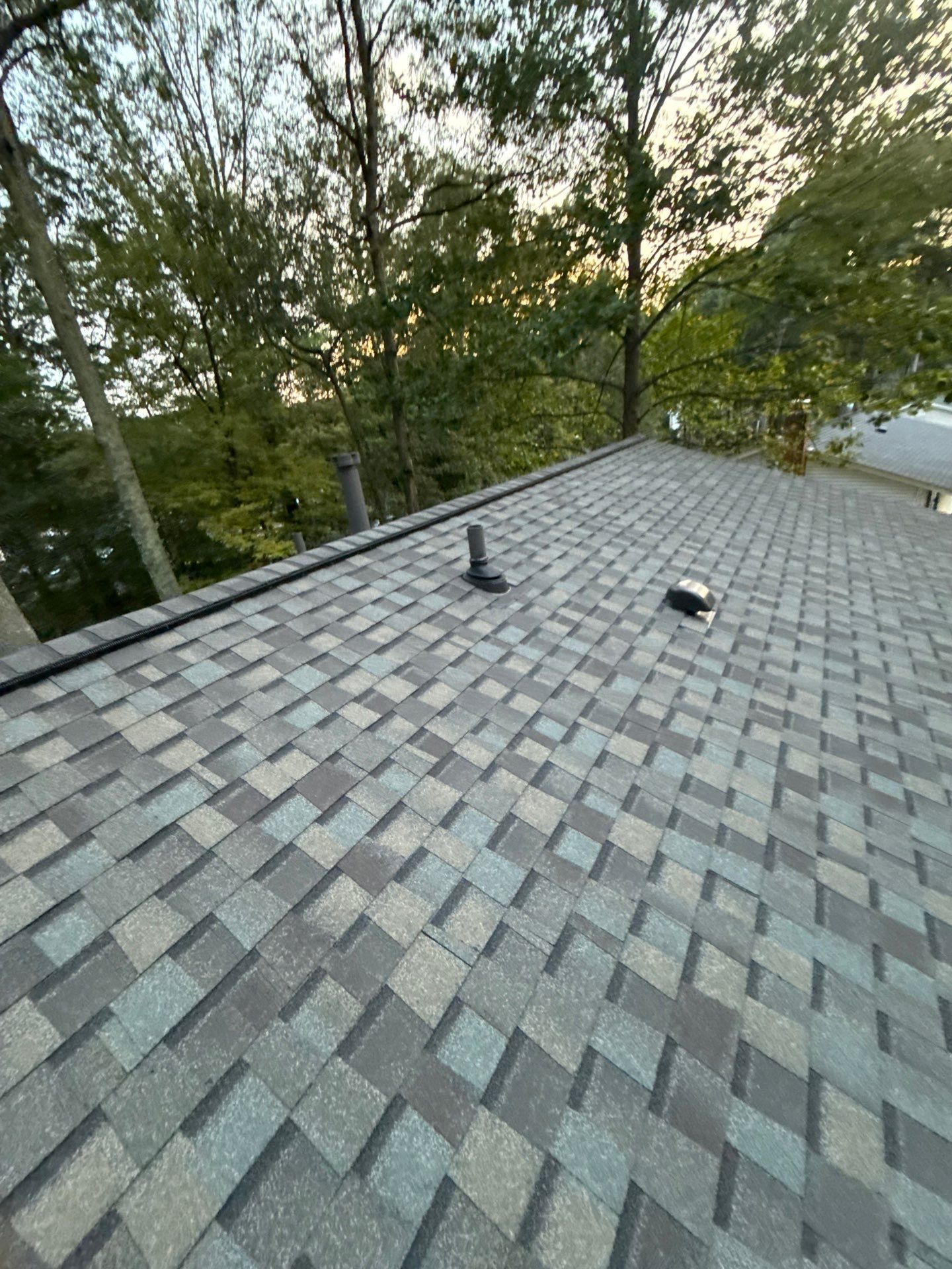 Springfield : Residential Roof Replacement with CertainTeed Landmark Pro in Max Weathered Wood  by RM Banning, Inc.