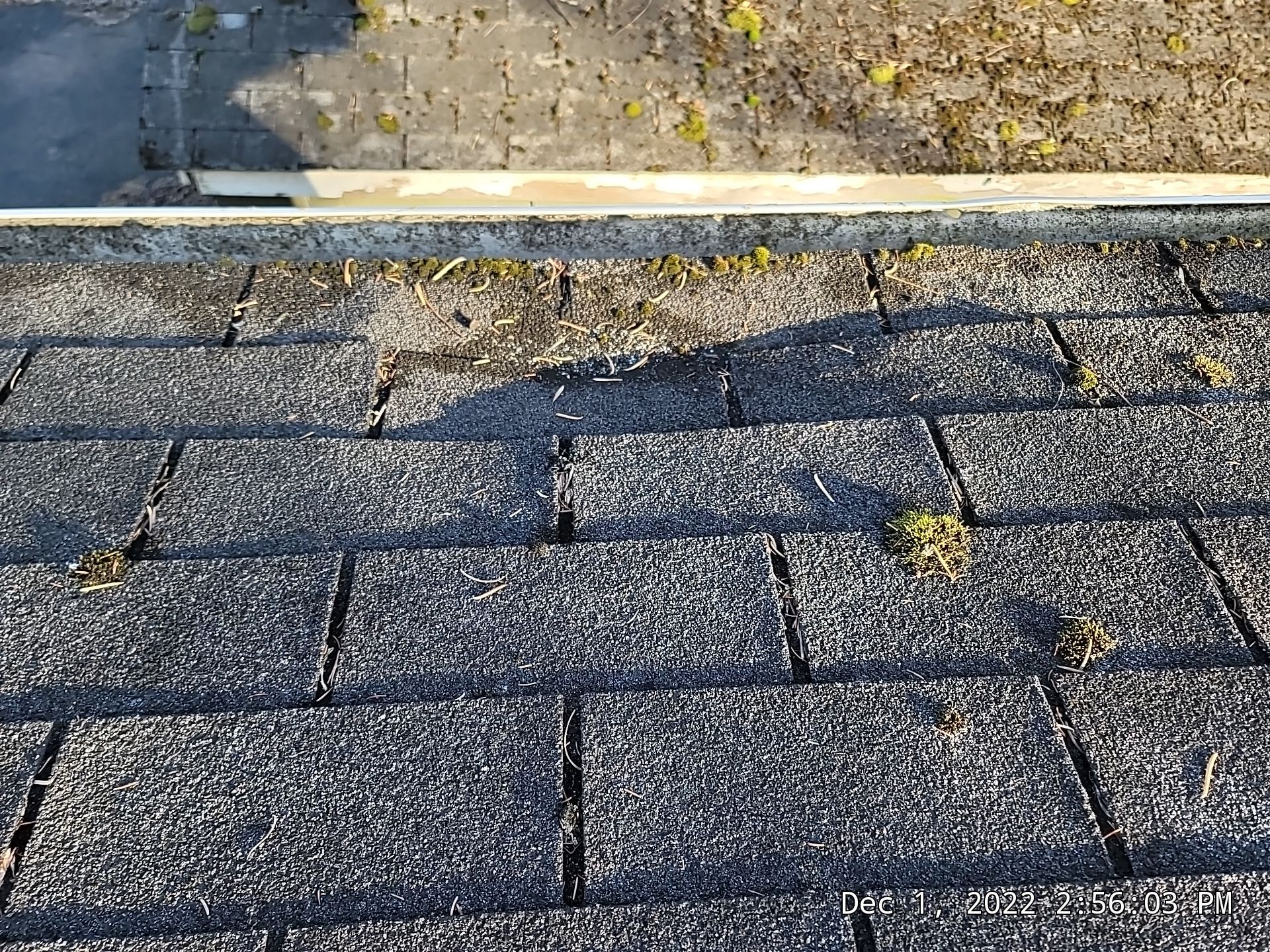 CT LANDMARK 30 LIFETIME METRIC PEWTER , DRIP EDGE BLACK  by Eagle Eye Roofing