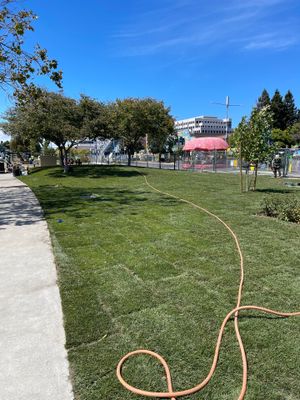 Project in Foster City