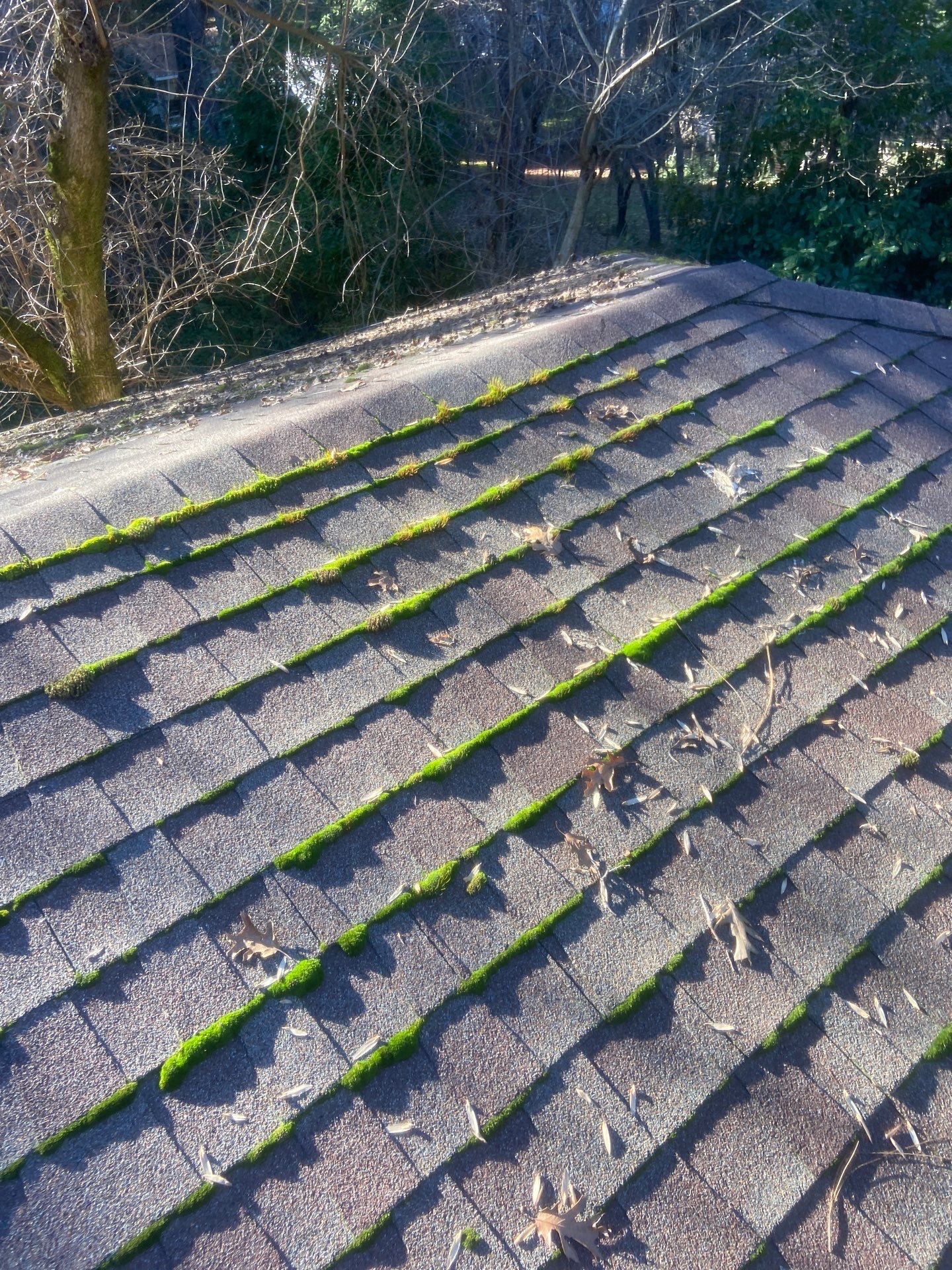 Roof Rejuvenation using Roof Maxx Treatment by Roof Maxx of Folsom