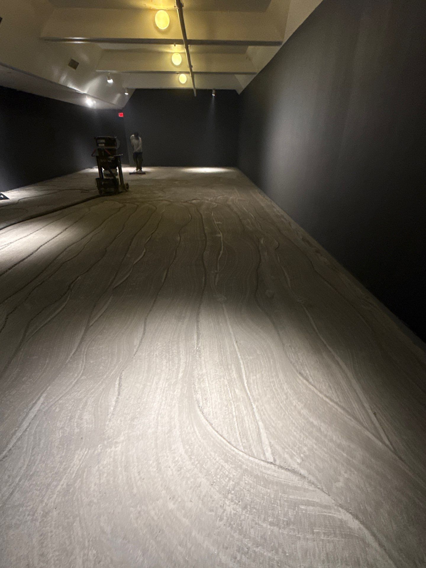 Grind off 20 layers of Paint Project in Pittsburgh by Floors in a Day, Inc