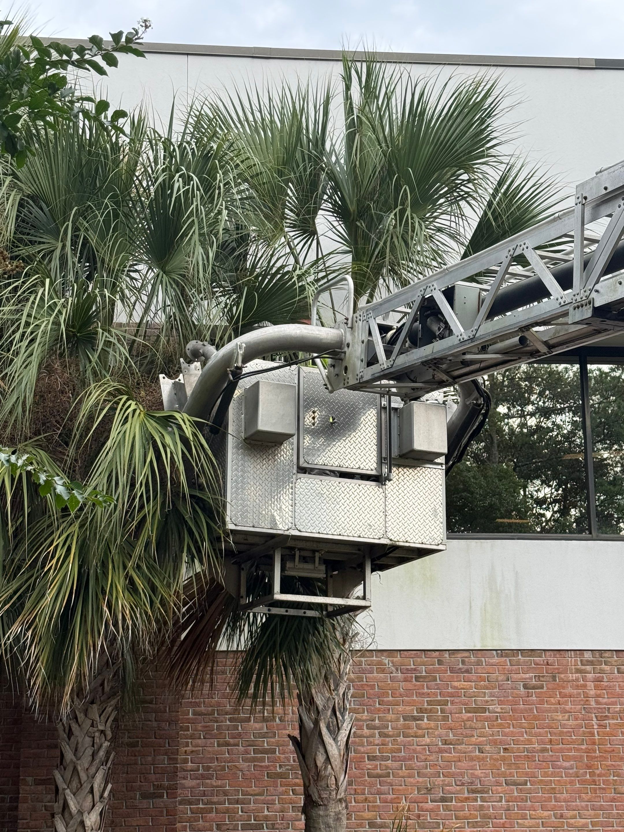 Volunteer Work | Episcopal High School of Jacksonville by ProGreen Services