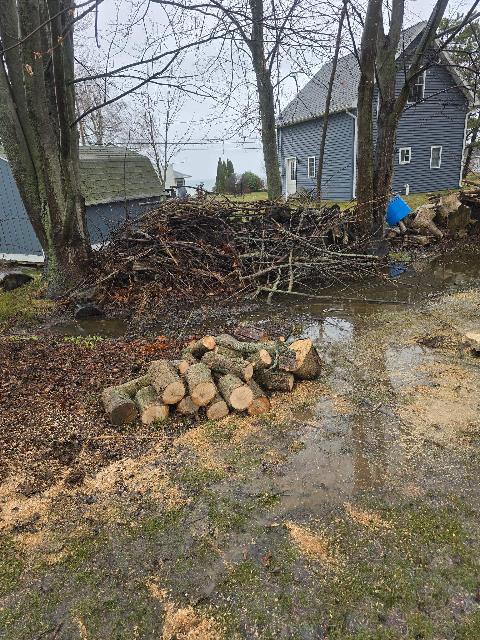 Tree Removal using Bobcat by Treeman Tom LLC