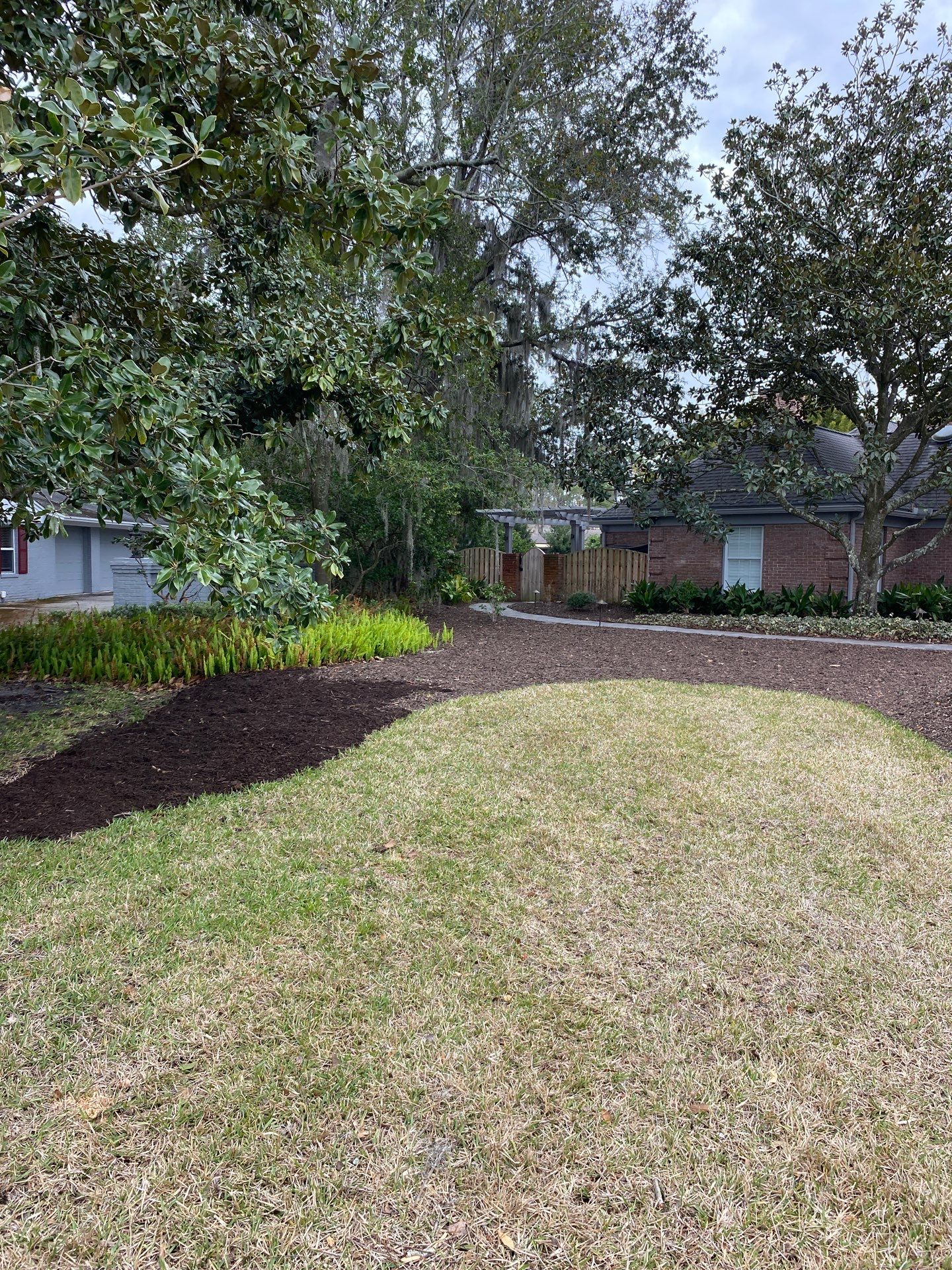 Deerwood Resident | Tree Removal & Mulch Install by ProGreen Services