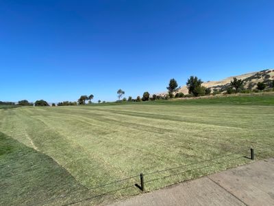 Project in Brooks