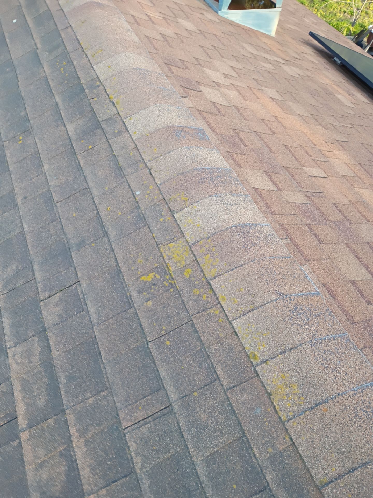 Roof Rejuvenation using Roof Maxx Treatment by Roof Maxx of Folsom