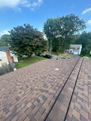 Atlas Pinnacle Pristine: Hickory in Wolcott