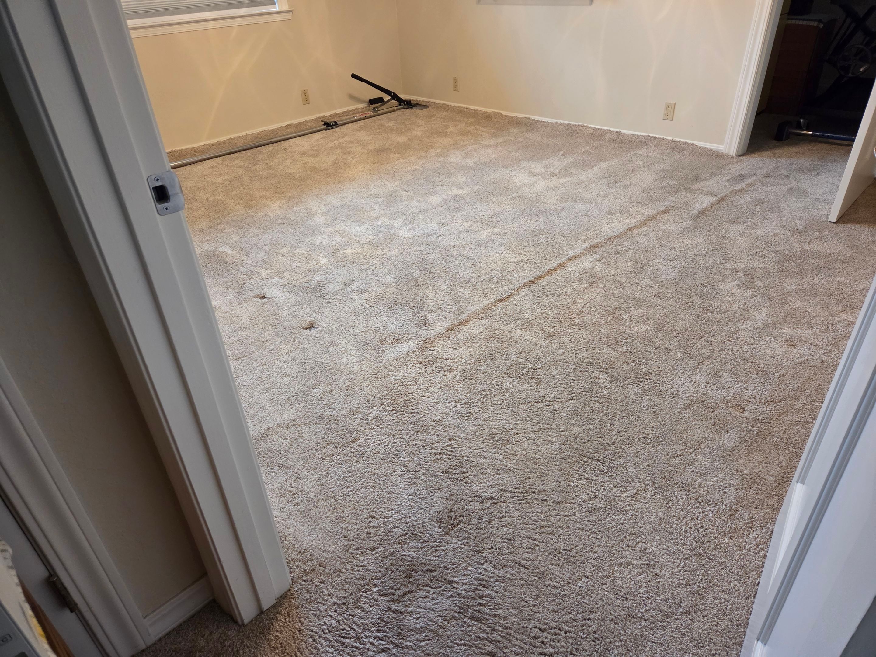 Carpet Re-stretch and Cleaning in Granite Bay by Ardent Carpet Restore LLC