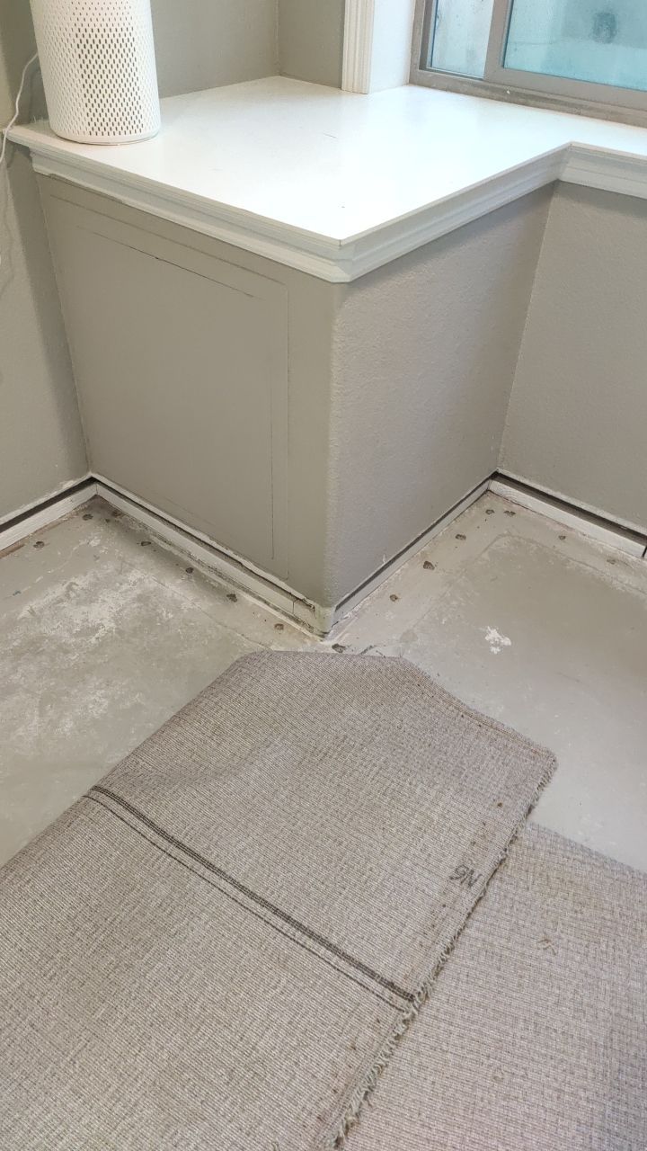 Mold Remediation  by Accountable Home Services