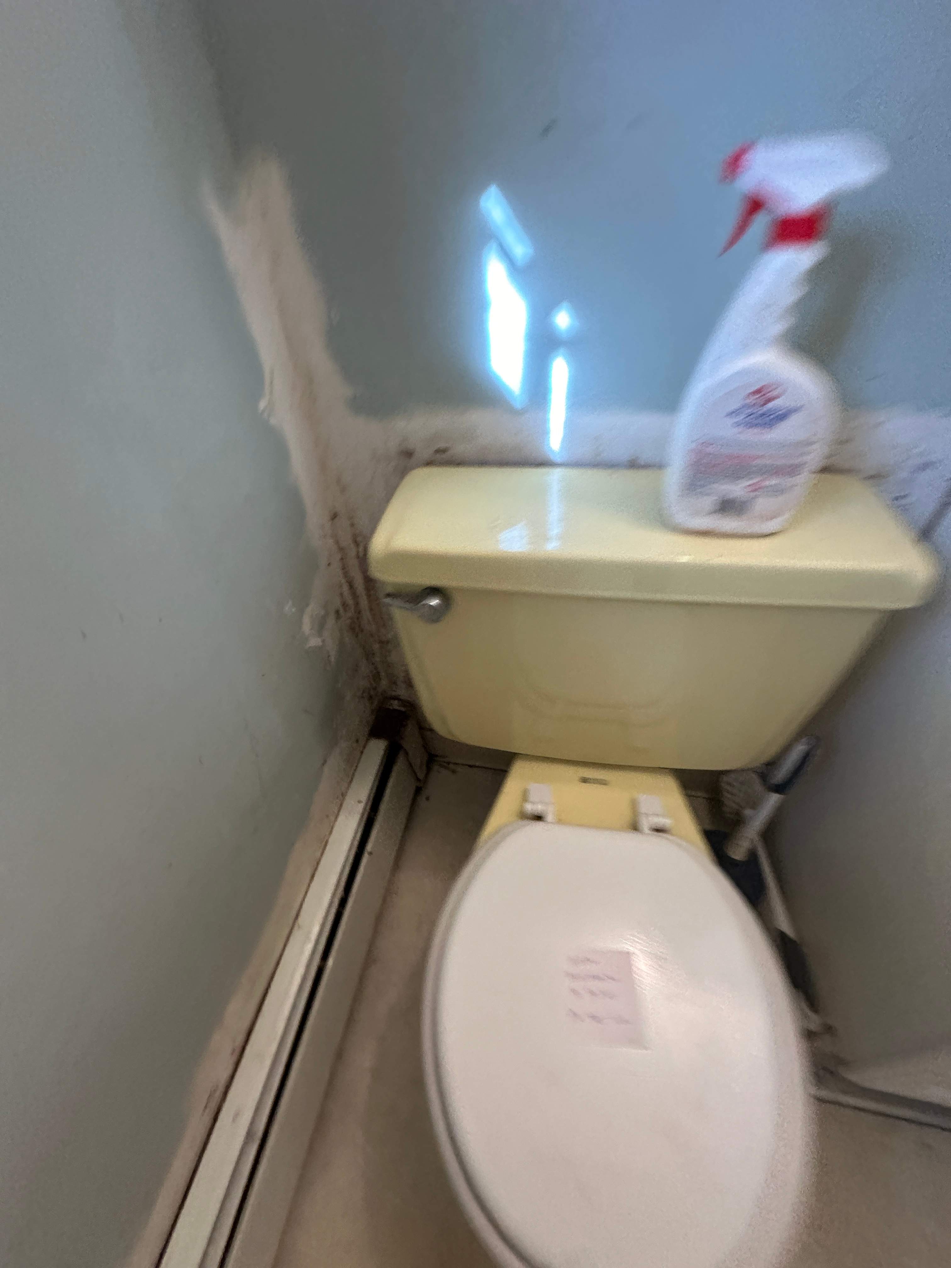 Bathroom Mold Remediation by Home Guarantee, LLC