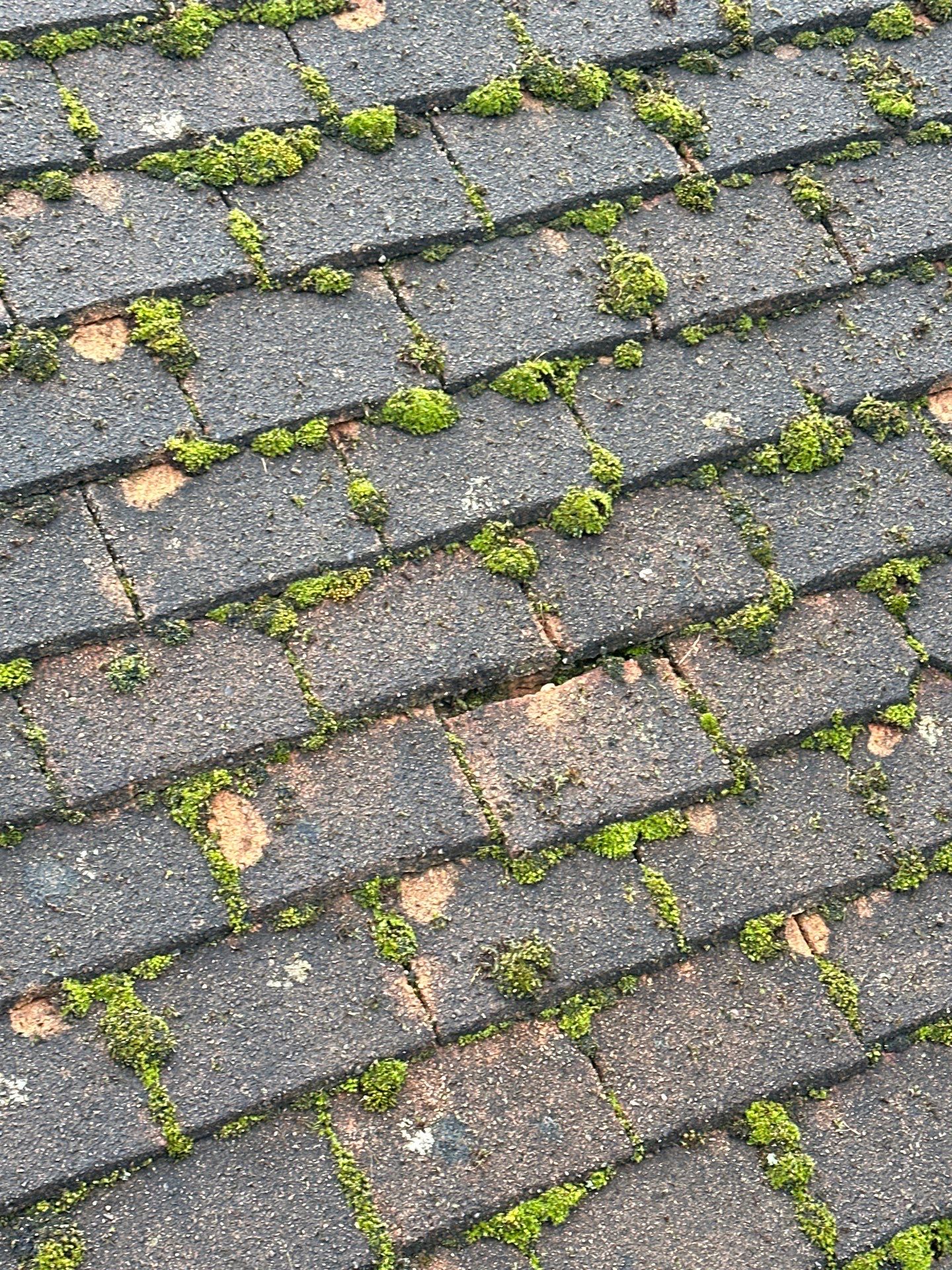 Roof And Driveway Clean by Ges Exterior Cleaning ltd