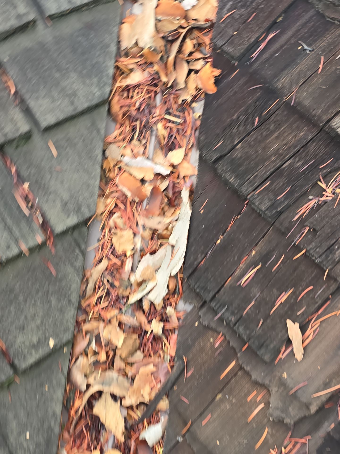 Shake Roof Repair in Sacramento-CA by Grandmark Service Company