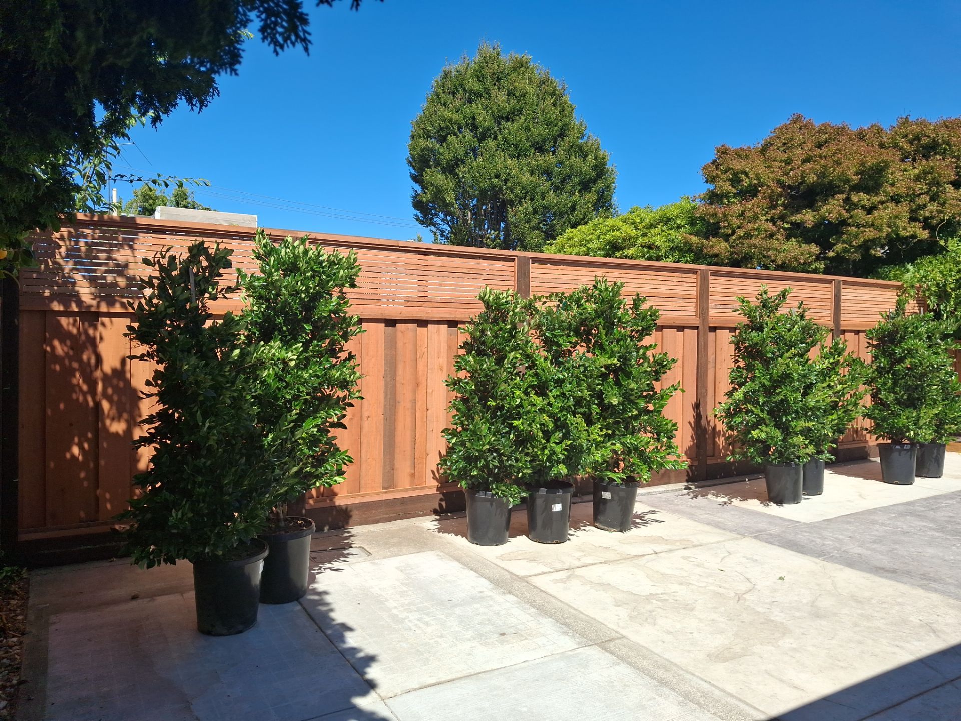 Board on Board With Horizontal Lattice by Fremont Fence Inc