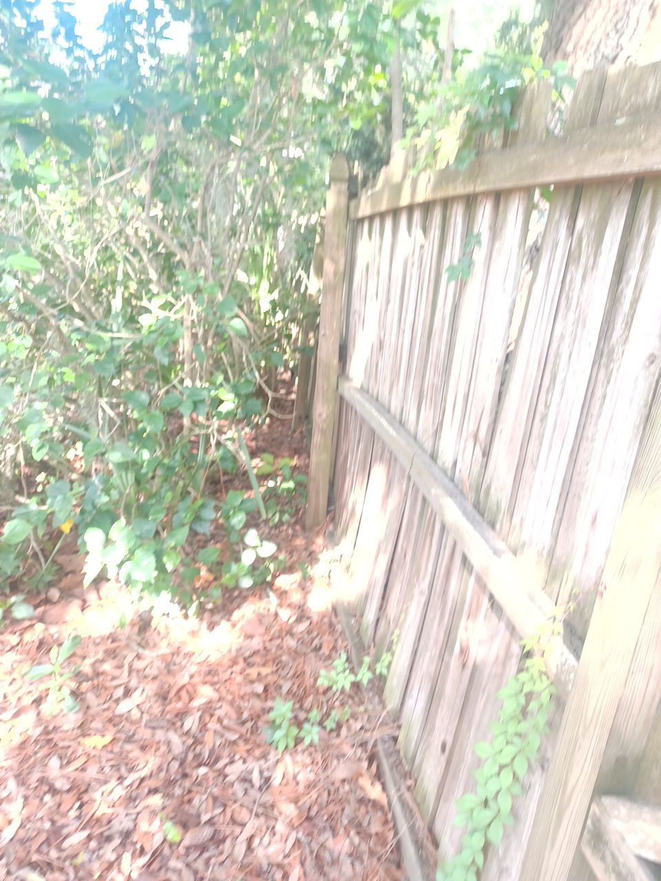 Sarasota, FL 6ft. Tall Treated Board on Board Wood Fence by Asap fence and gates, LLC