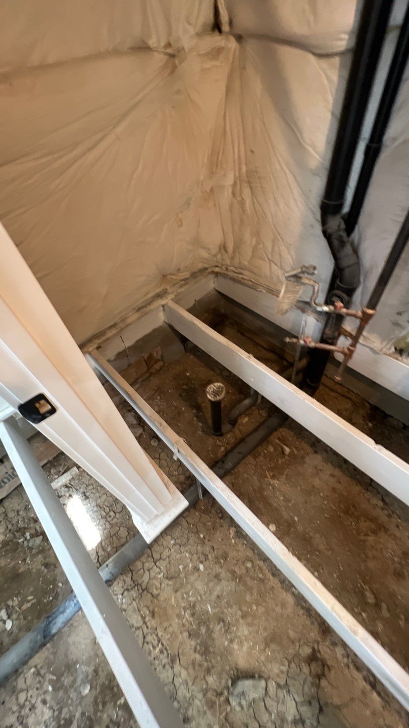 Mold Remediation by Accountable Home Services