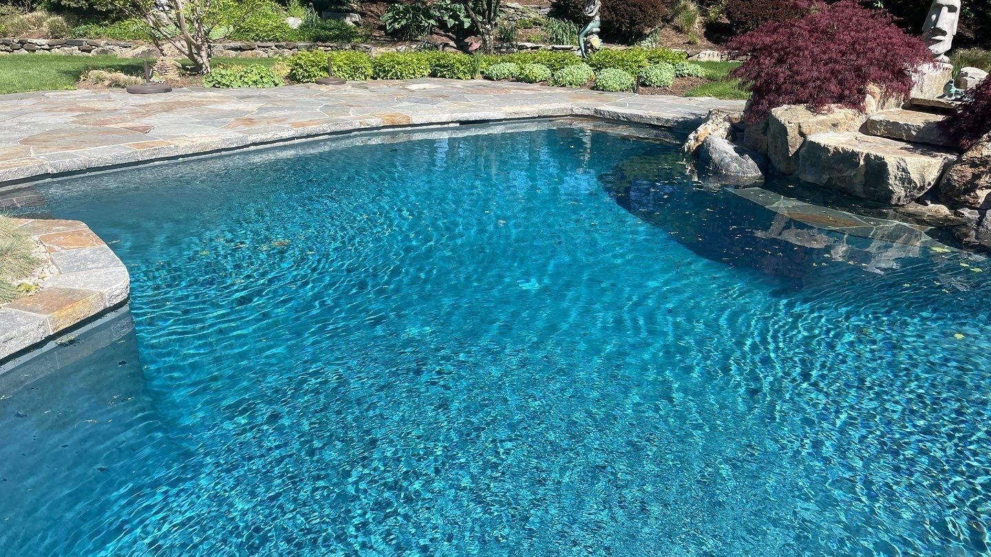 Reno Gallery by Signature Pools