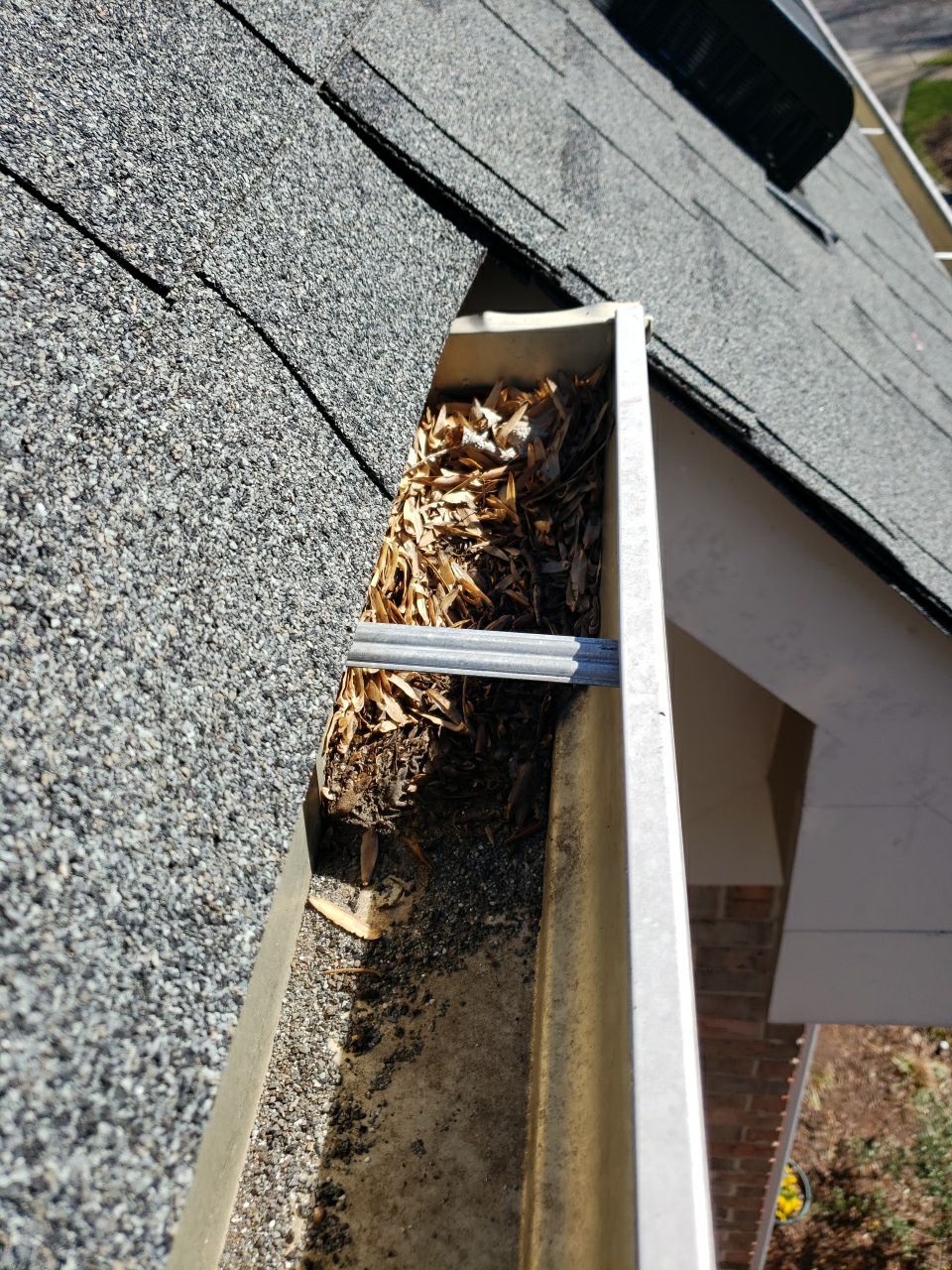 Landscap drain and flat serface cleaning by Power Wash Masters LLC