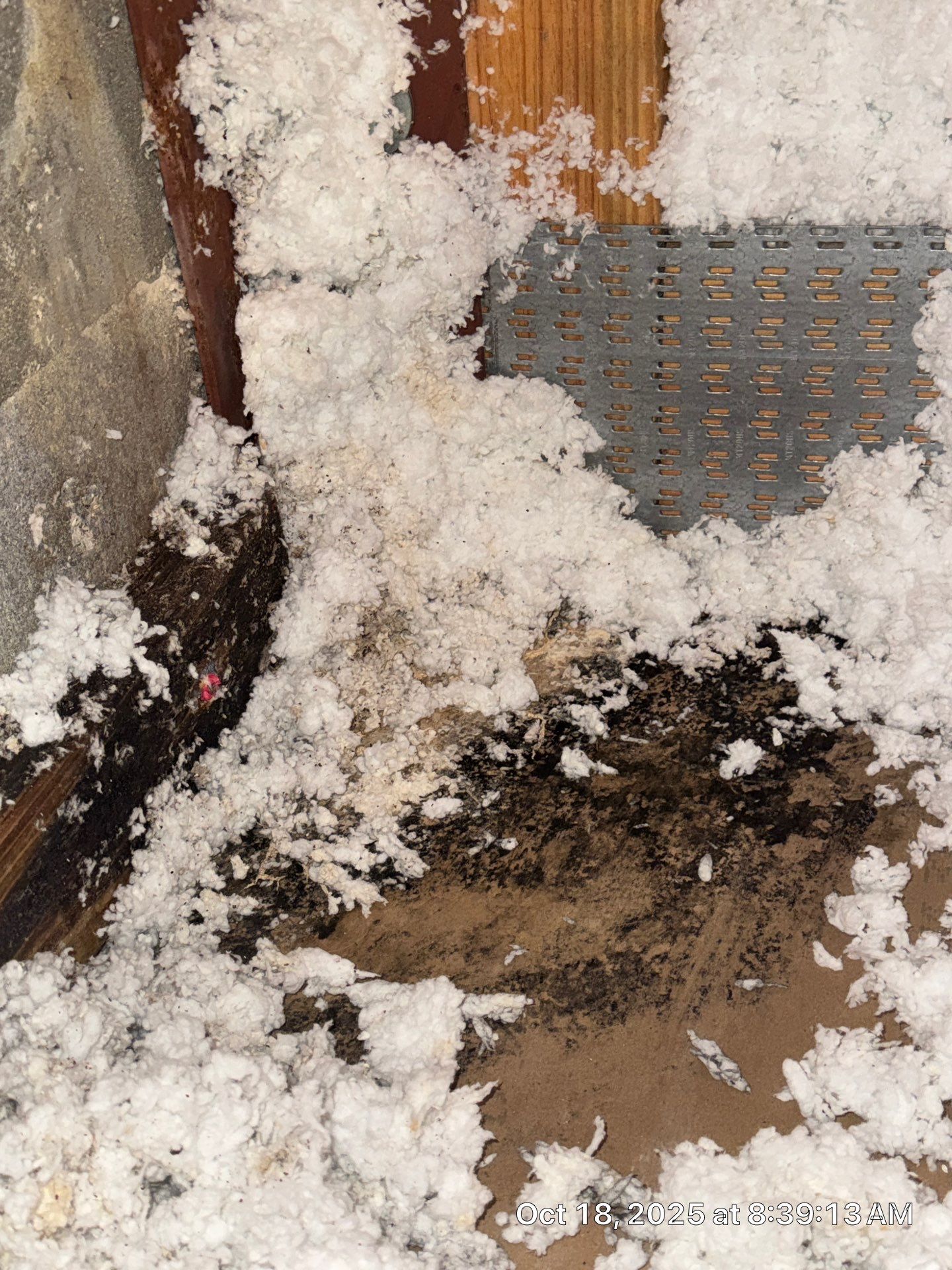 WATER DAMAGE WELLINGTON by SuperClean