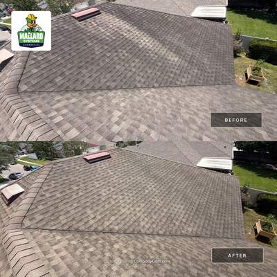 Shingle Roof Cleaning Waterford Lakes