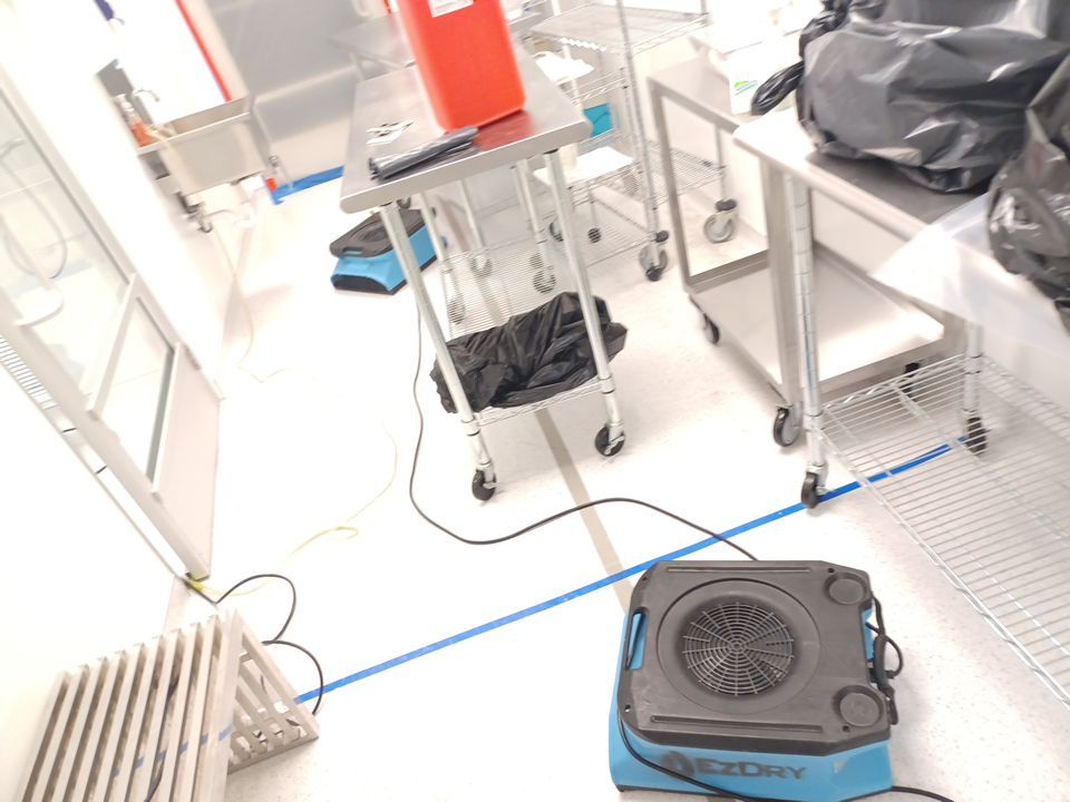 Project in Novi by EzDry Water Mitigation & Property Restoration