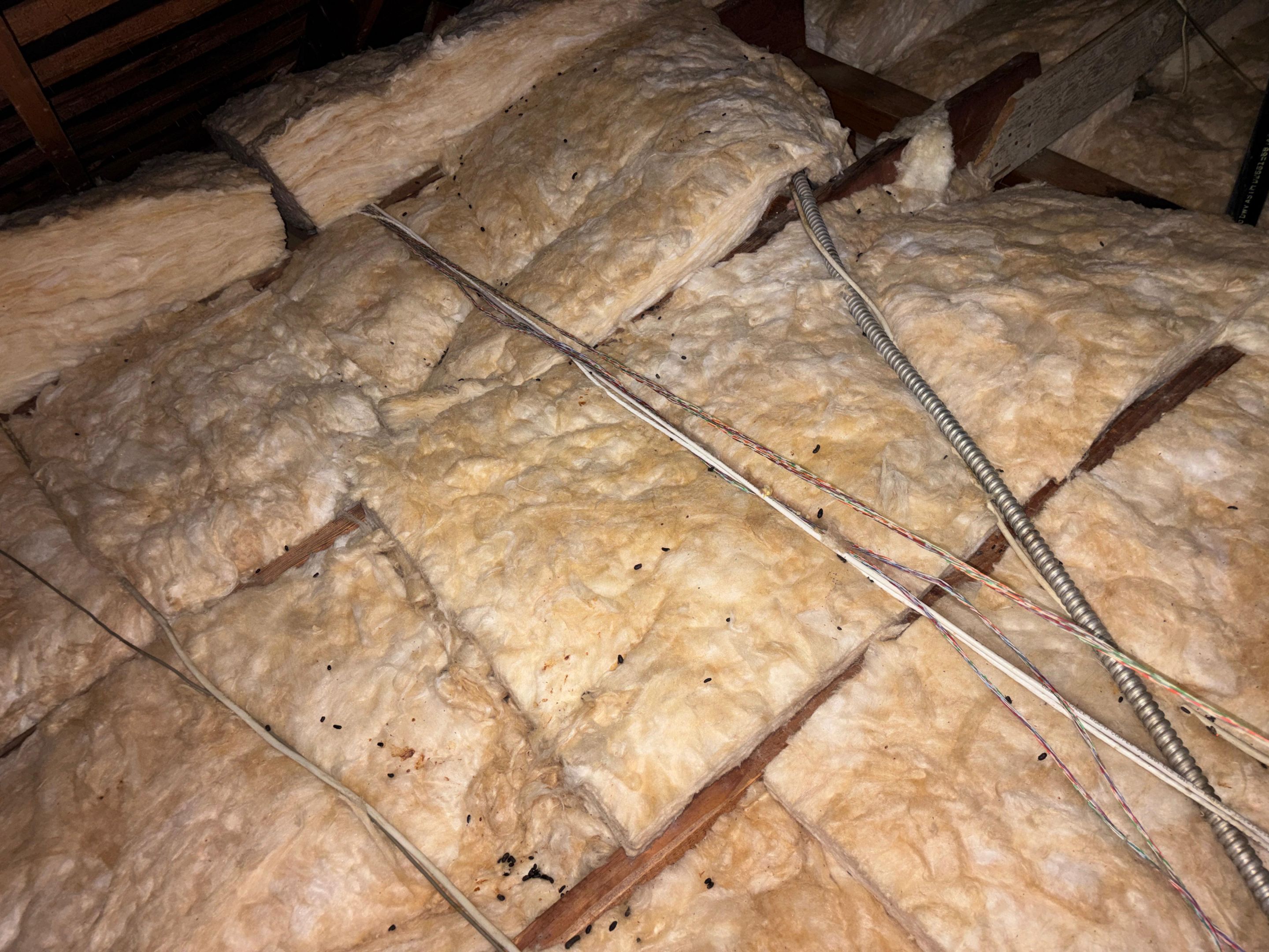 Project in Beverly Hills by Insulation Labs